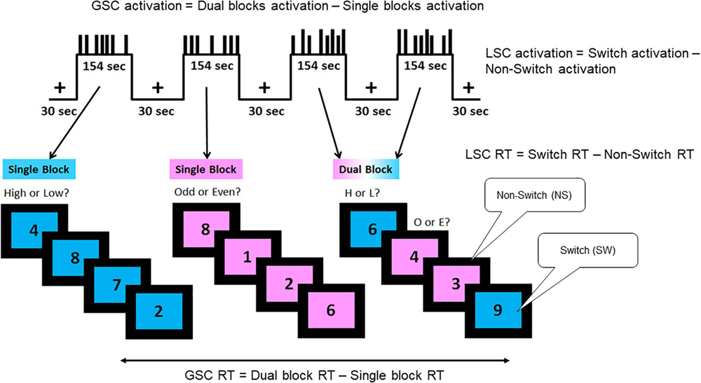 Diagram of GSC activation and LSC activation.