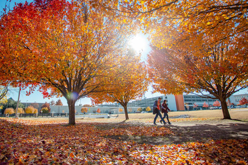 Two students walking on campus under trees with orange leaves. 