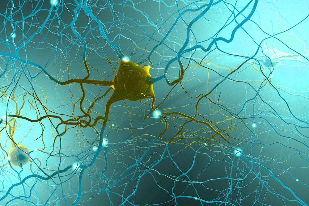 Pain Researchers Use Sequencing Data To Map Nerve Interactions