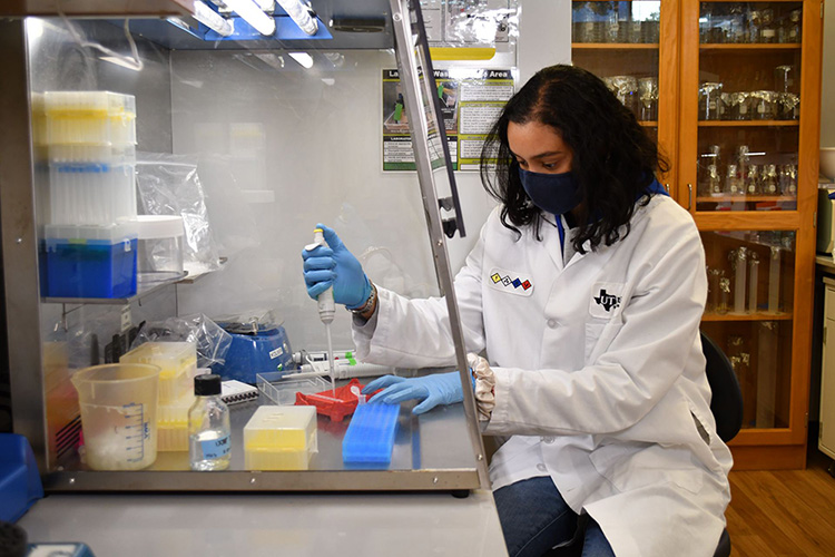 Scholarship Program Expands Access for Undergraduate Neuroscience Researchers