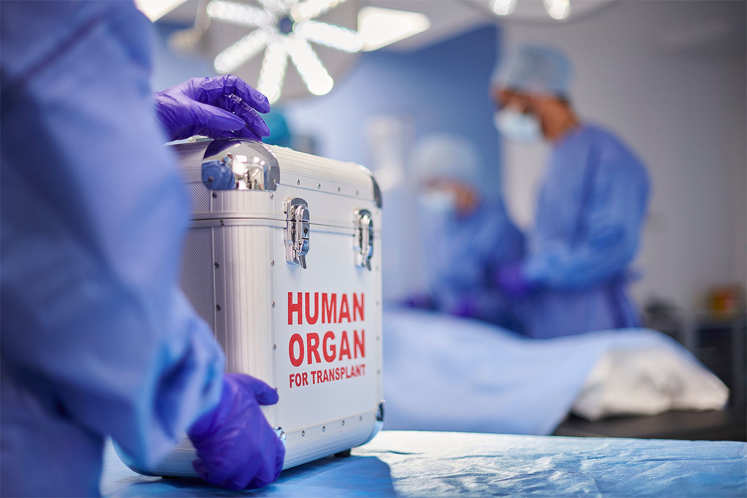 Study Measures Impact of Pausing Organ Transplants in Pandemic